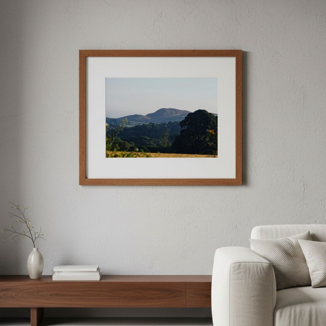 Serene Scottish Countryside - Image 3