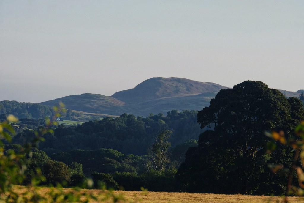 Serene Scottish Countryside