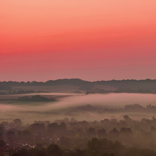 Misty Coral Sunrise