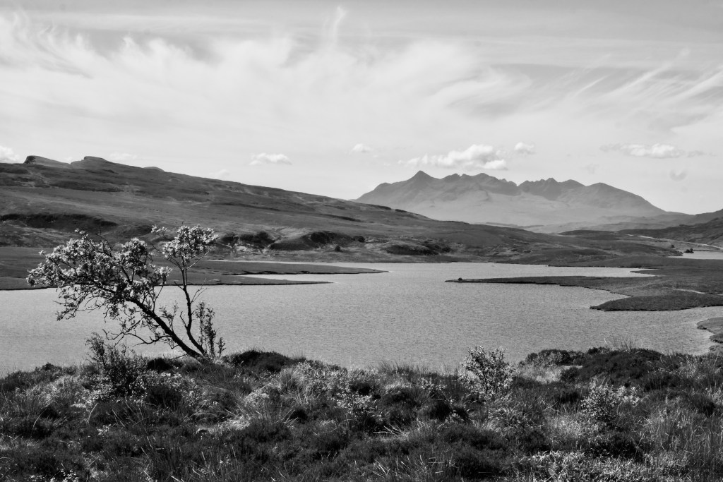 Scenic Walks in Skye