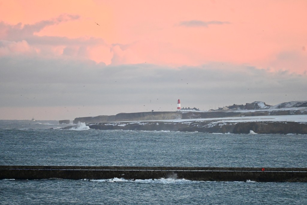 Pink Sunset over South Shields