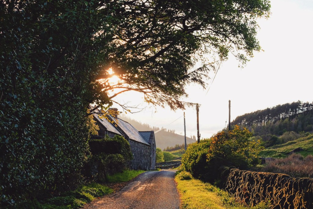 Scenic Moment