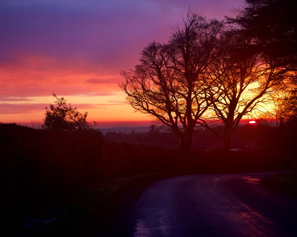 Vibrant sunset