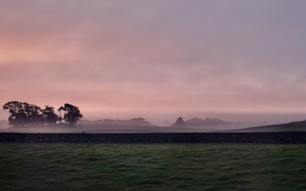 Misty Countryside Mornings