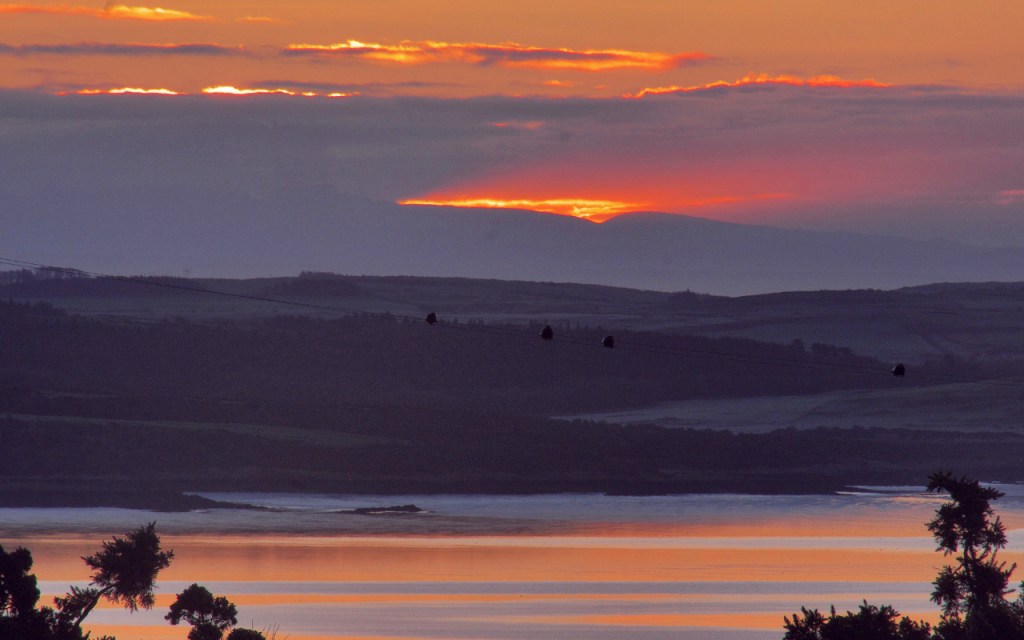 Scenic Scottish Sunrise