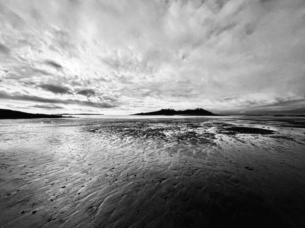 Textures at Carrick