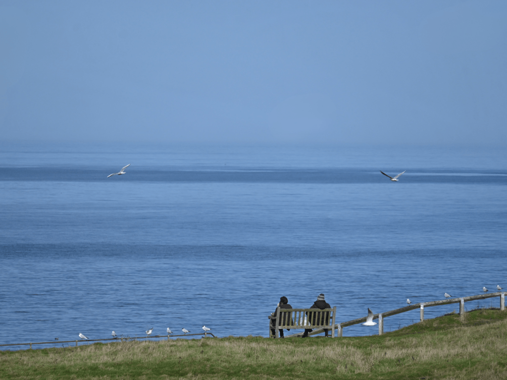 Peaceful Views at Seaton Sluice | Landscape Photo | Gaby Zak