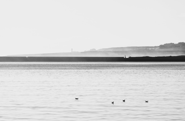 Calming Morning Views b&w