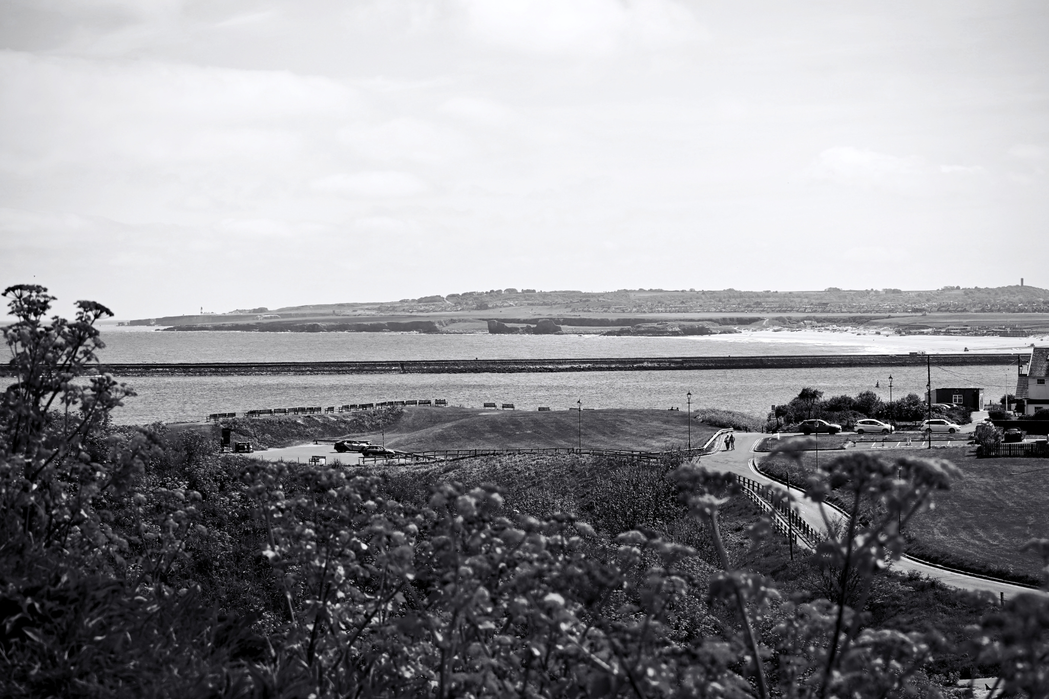 Scenic sea views from Tynemouth