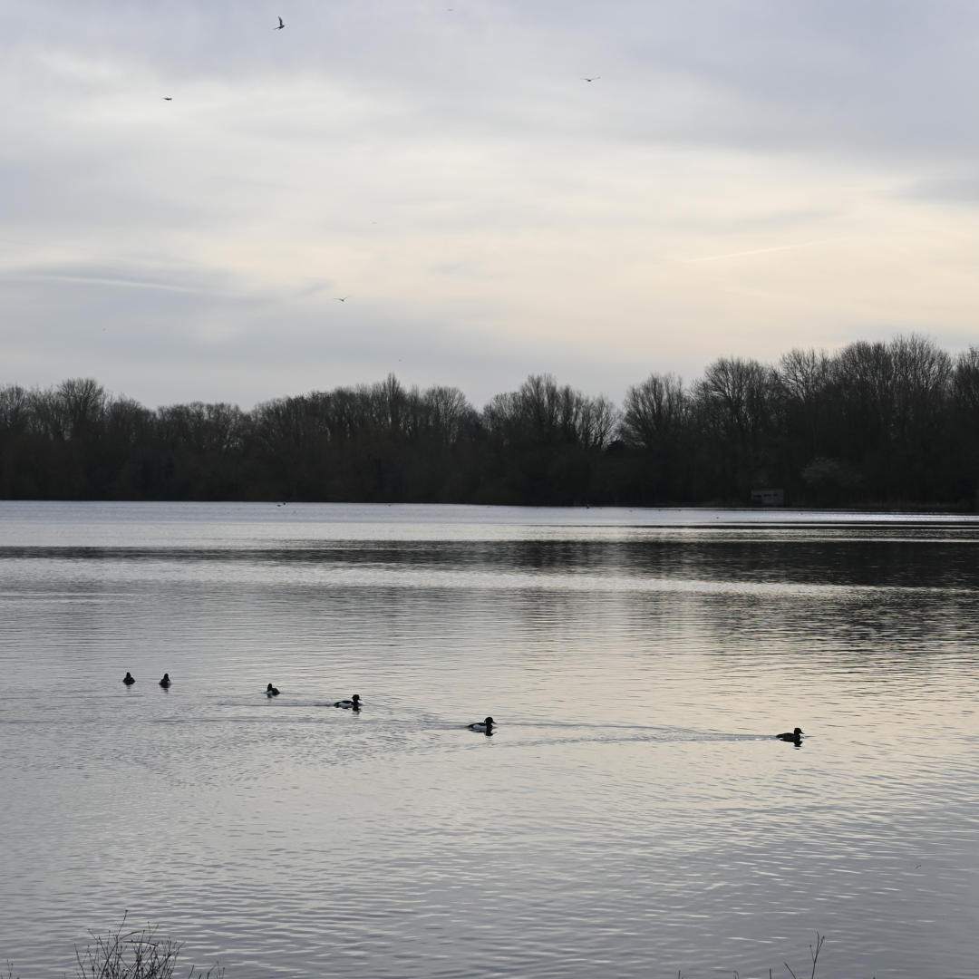 Priory Country Park Bedford