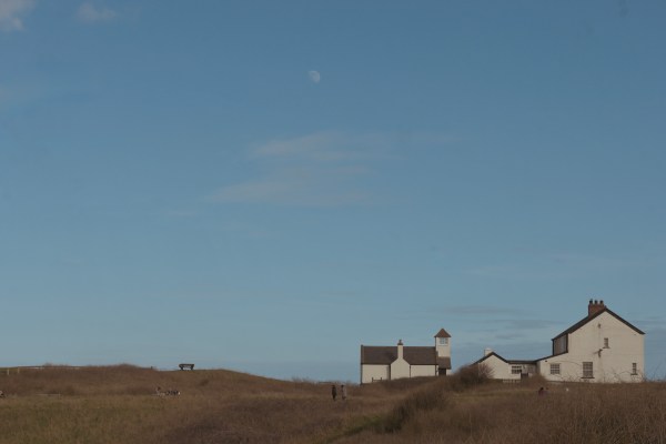 Calm Moment in Seaton Sluice